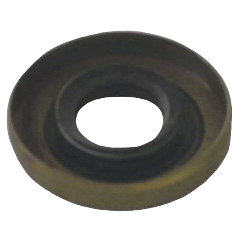 Replacement Shaft Seal for Blue Wizard Motor