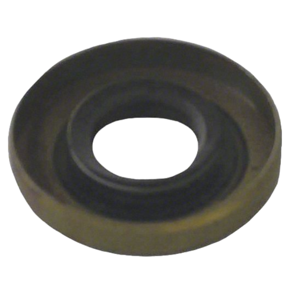 Replacement Shaft Seal for Blue Wizard Motor